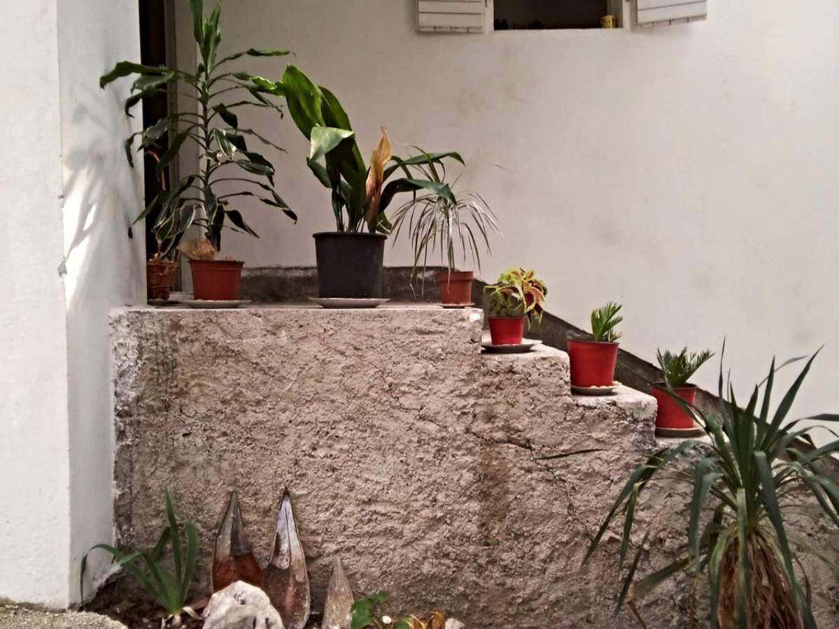 Apartment Vukanic Kotor Extérieur photo